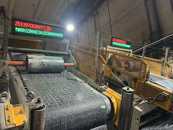 江苏龙贞智能技术有限公司乌鲁木齐双钱轮胎厂项目